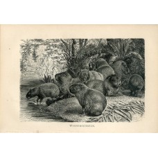 15 x 20.5 passepartout with hole