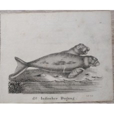 Sheet size: 15.5 x 19 inches.