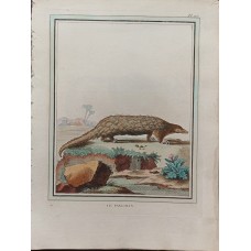 Leclerc, Fritzsch, Buffon Old Colored Copper Stitch circa 1780 Decorative