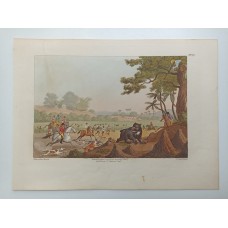 Bären Jagd Hunde Oriental Field Sports Williamson Clark kol. Aquatinta - 1807