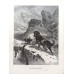 Antique lithographs depicting various dog breeds: dachshunds, terriers, St. Bernards, Weimaraners—German, 1880-1890.