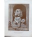 Antique lithographs depicting various dog breeds: dachshunds, terriers, St. Bernards, Weimaraners—German, 1880-1890.
