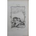 Antique zoological engraving 