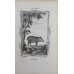 Antique zoological engraving 