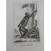 Antique zoological engraving 