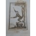 Antique zoological engraving 