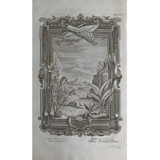 Impressions from copper plates, from Johann Jacob Scheuchzer's Physica Sacra, 1731.