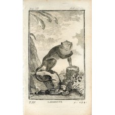 France. Histoire Naturelle (Natural History)