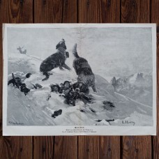 Antique lithograph of St. Bernards rescuing children in the mountains, Germany, 1880-1890.