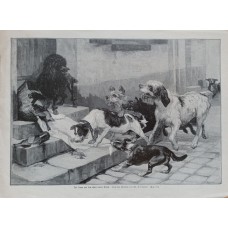 Antique lithograph 