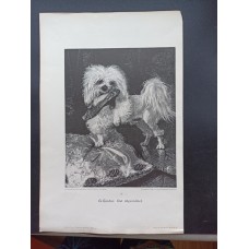 Large authentic antique woodcut – a print from a wooden block – premium quality, dating to 1890.