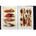 Mrs Beeton C1930 Lot of 6 Vintage Food Prints. Book Plates