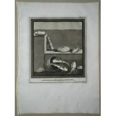 Engraving, copper plate print, 1775, Italy, Francesco Cepparoli