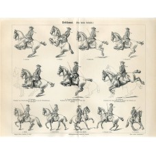1895 EQUESTRIAN HORSE ART OF RIDING THE HIGH SCHOOL Antique Engraving Print