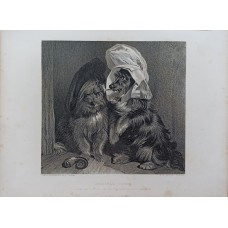 A wirehaired terrier with a horn tobacco box and Scottish bonnet; one wears a ladies cap.