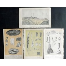 Intellectual Observer 1860's Lot of 4 Prints. Natural History & Geology. Plates