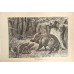 Antique German zoological engraving by A. Brehm from 