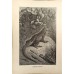 Antique German zoological engraving by A. Brehm from 