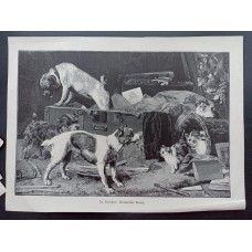 Antique lithograph in frame and mat, 